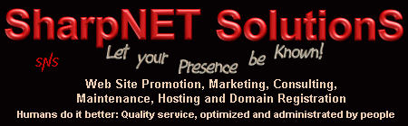 Internet Web site Promotion and Marketing for your business